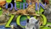 Dublin Zoo Coupons