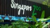 Singapore Zoo Coupons