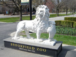 Brookfield-Zoo-Coupons Brookfield Zoo Coupons