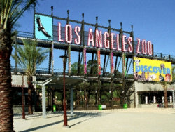 LA-Zoo-Coupons LA Zoo Coupons