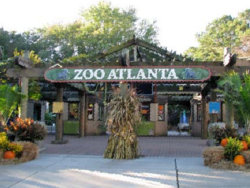 Zoo-Atlanta-Coupons Zoo Atlanta Coupons