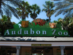Audubon-Zoo-Coupons Audubon Zoo Coupons