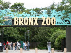 Bronx-Zoo-Coupons Bronx Zoo Coupons