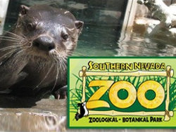 Las-Vegas-Zoo-Coupons Las Vegas Zoo Coupons