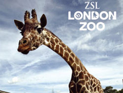 London-Zoo-Coupons London Zoo Coupons
